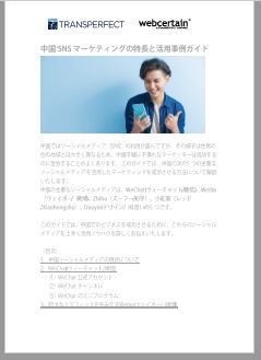 中国マーケットのSNSレポート