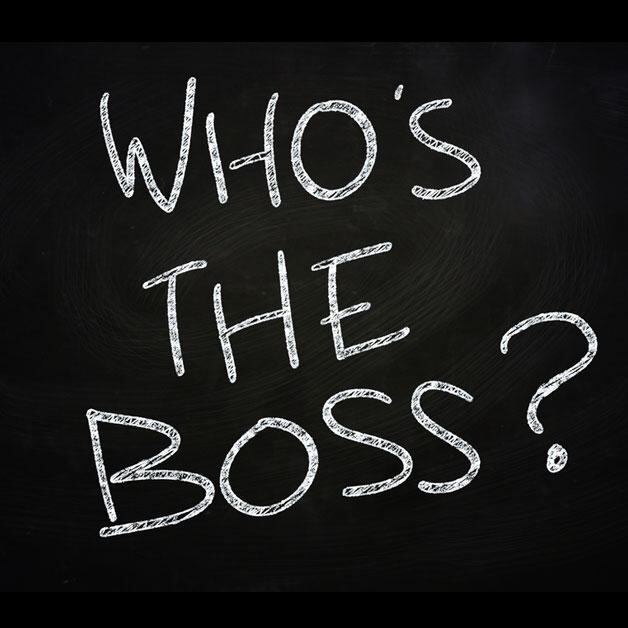 Who's the Boss?