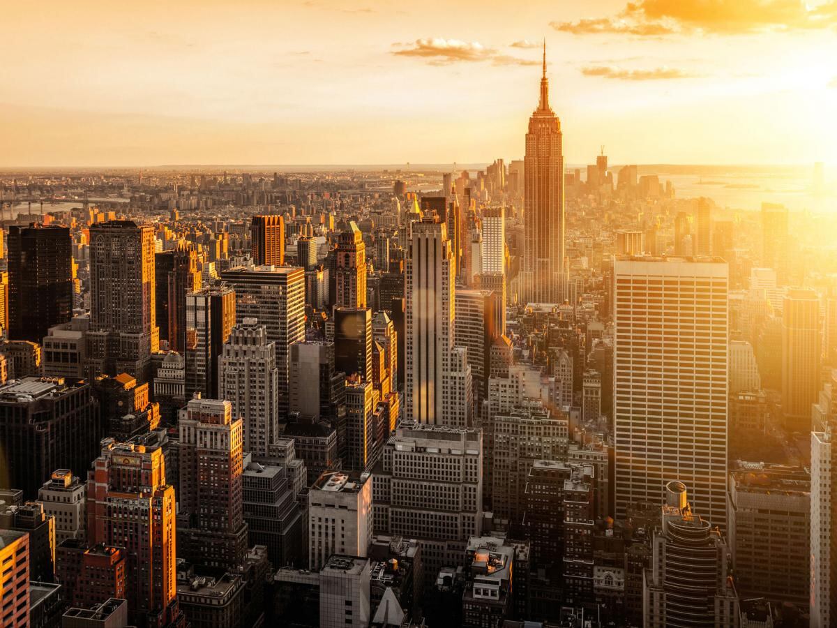 TransPerfect New York